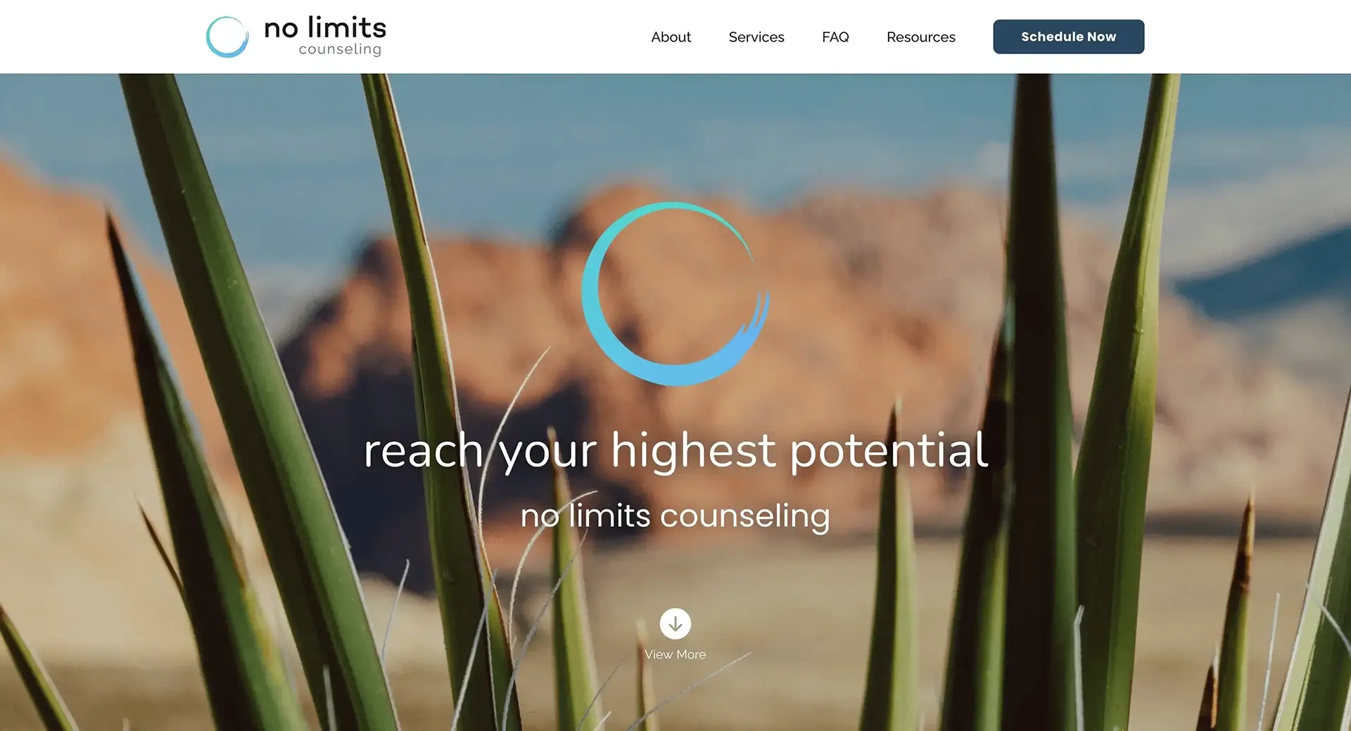 No Limits Counseling Marketing Site